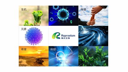 瑞太生物科技 推動生物技術創新，引領健康未來